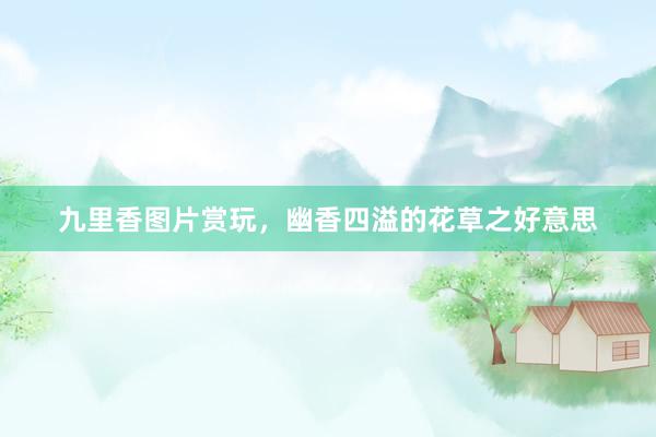 九里香图片赏玩，幽香四溢的花草之好意思